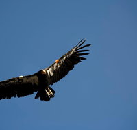 Grand Canyon Deluxe Day Trip from Sedona - Accommodation Rooms