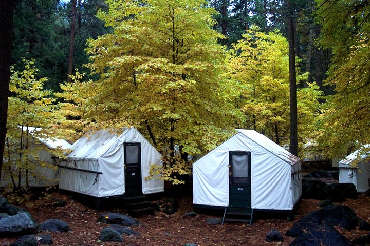 2-Day Yosemite National Park Winter Tour From San Francisco - thumb 3