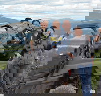 2.5-Hour Denali Wilderness ATV Adventure Tour - Accommodation Rooms