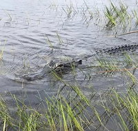 Everglades Airboat Safari - Accommodation Rooms