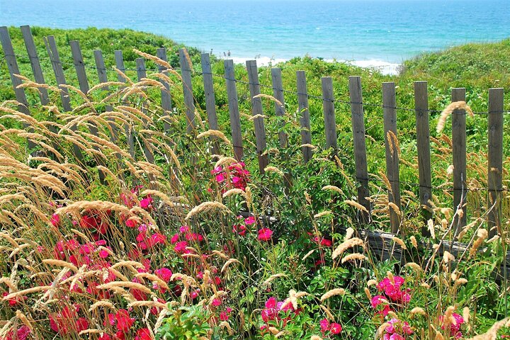 Martha's Vineyard Daytrip From Boston With Round-Trip Ferry & Island Tour Option - thumb 0