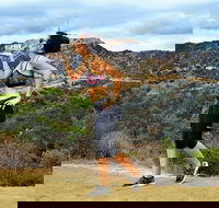 Griffith Observatory Hike Hollywood Hills Walk in Griffith Park - Accommodation Rooms