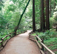 Muir Woods Tour of California Coastal Redwoods (Entrance fee included) - Accommodation Rooms