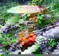 Denali National Park Walking Tour - Accommodation Rooms