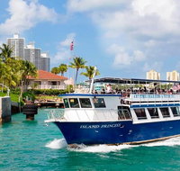 Sightseeing Cruise of Biscayne Bay - Accommodation Rooms