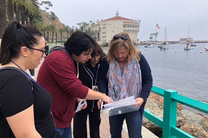 Fantastic Catalina Race - thumb 0