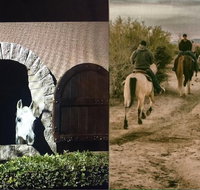 Scottsdale Horseback Riding and Horse Country Estate Tour - Accommodation Rooms