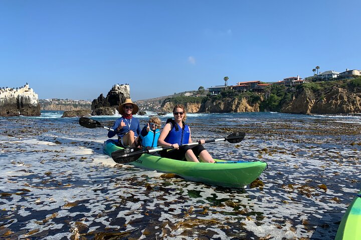 Laguna Beach Open Ocean Kayaking Tour With Sea Lion Sightings - thumb 1