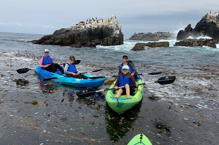 Laguna Beach Open Ocean Kayaking Tour With Sea Lion Sightings - thumb 2