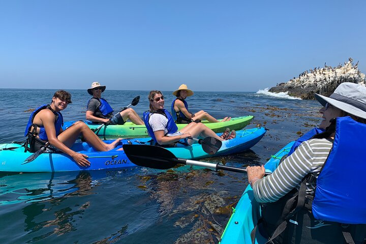 Laguna Beach Open Ocean Kayaking Tour With Sea Lion Sightings - thumb 3