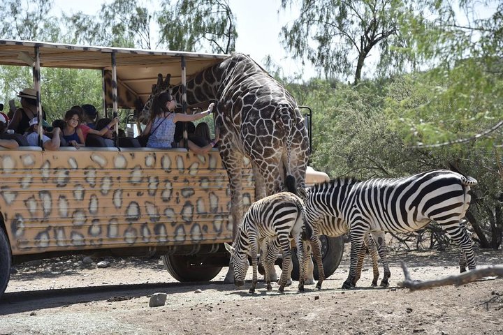 Custom Private Arizona Wildlife Adventure - thumb 2