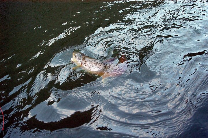 Rentals 1-Day 12' Fishing Oar-Raft Trailer 2 Ball