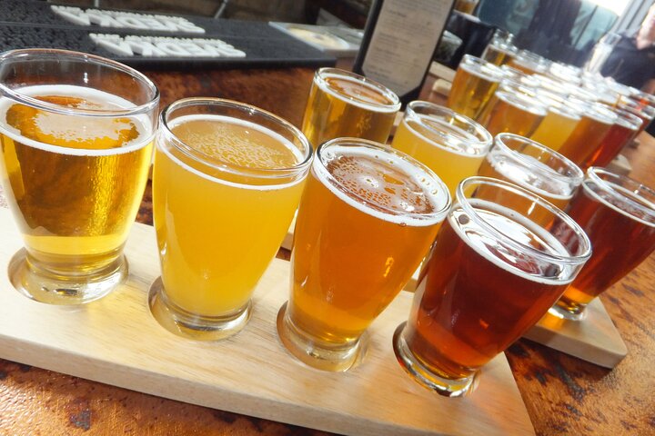 NEW! Downtown Colorado Springs 3-Hour Brewery Tour - thumb 1