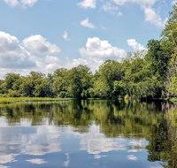 Guided Manatee Kayaking Tours through Blue Spring State Park - Accommodation Rooms