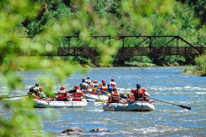 Half-Day Family Rafting In Durango, Colorado - thumb 2