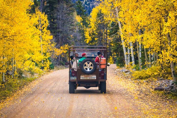 La Plata Canyon Jeep Tours From Durango - thumb 2