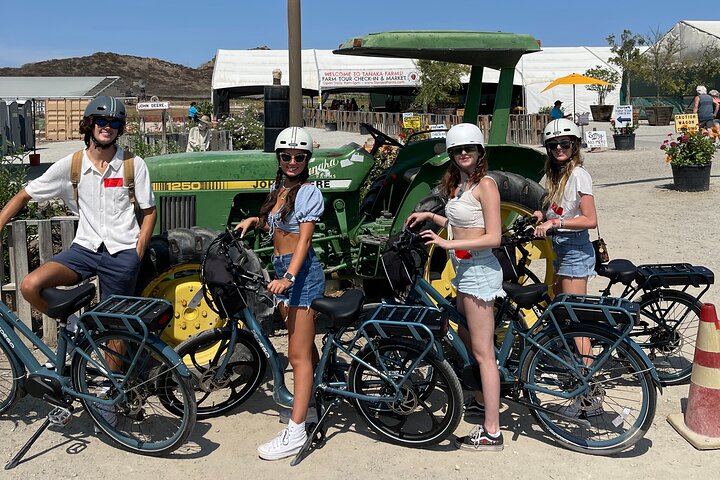 3-Hour Pedego Bike Rental - thumb 0