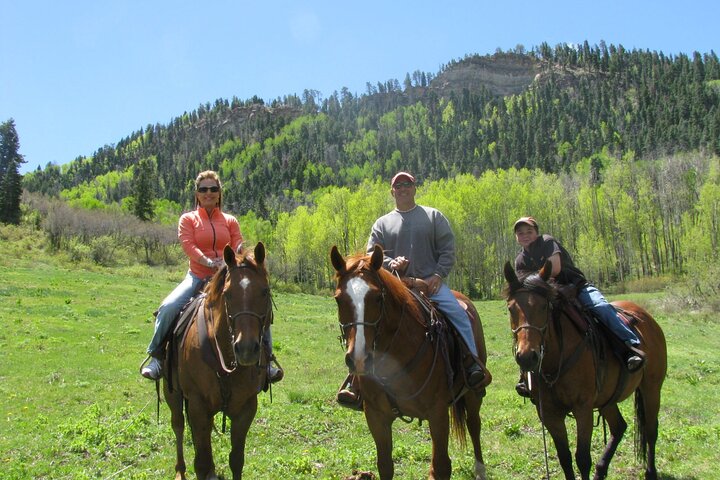 6 Hours Horse Ride - Cascade Creek Trail to the Waterfalls