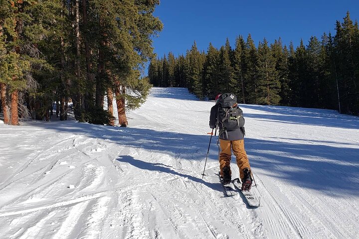 Luxury Transportation Services In The State Of Colorado. - thumb 4