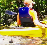 Orlando Manatee Encounters - Accommodation Rooms