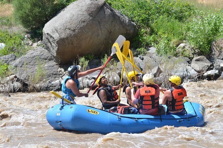 Intermediate Bighorn Sheep Canyon Whitewater Rafting Trip