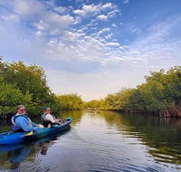 Thousand Islands Mangrove Tunnel and Bioluminescent Comb Jelly Sunset Kayak Tour - Accommodation Rooms