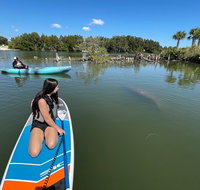 Wildlife Refuge Manatee, Dolphin & Mangrove Kayak or Paddleboarding Tour! - Accommodation Rooms