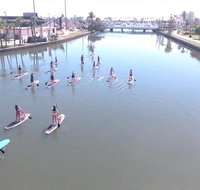 Dolphin and Manatee Stand Up Paddleboard Tour in Daytona Beach - Accommodation Rooms