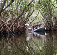 #1 Mangrove Tunnel, Manatee & Dolphin Kayak Tour Fin Expeditions of Cocoa Beach! - Accommodation Rooms