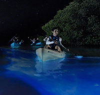 Bioluminescent Kayak Tour. Fin Expeditions is Cocoa Beaches Top Rated Kayak Tour - Accommodation Rooms