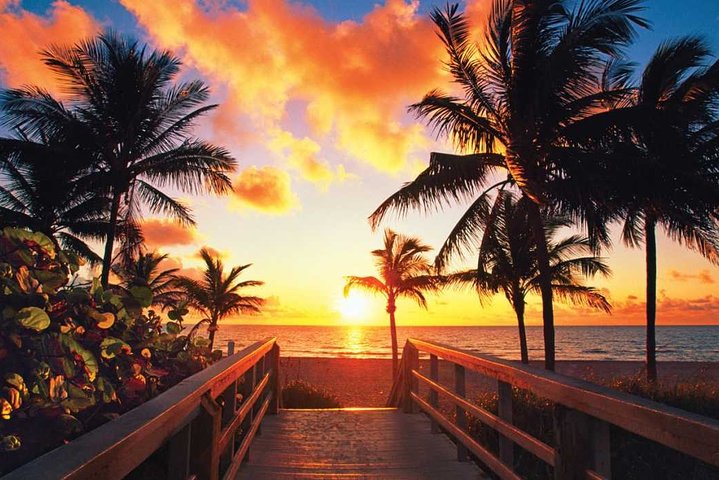 Departure Private Transfer: Hollywood Beach To Airport FLL In Business Car - thumb 4