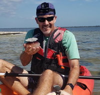 Manatee and Dolphin Kayaking | Haulover Canal (Titusville) - Accommodation Rooms