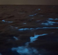 Clear Kayak Florida Bioluminescence Tour | Beacon 42 (Titusville) - Accommodation Rooms