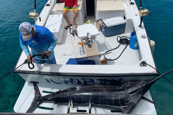 3/4 Day Kona Sportfishing Charter - thumb 0