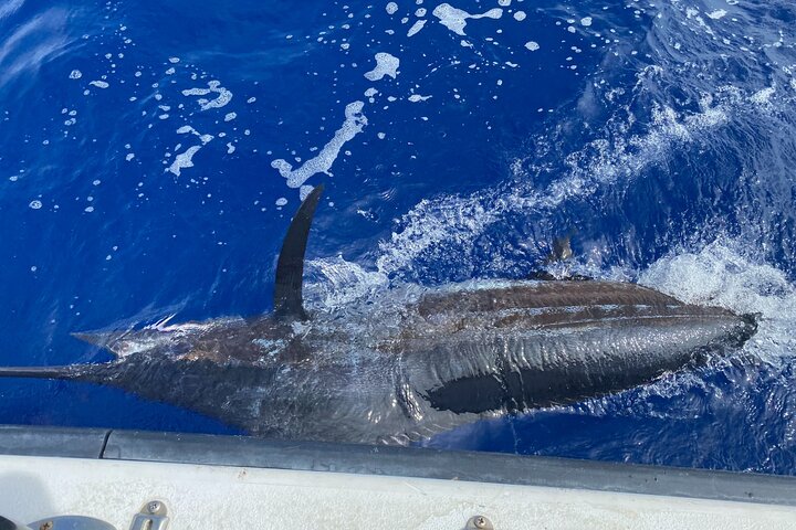 3/4 Day Kona Sportfishing Charter - thumb 1