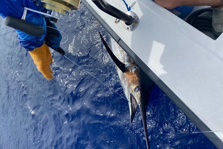 3/4 Day Kona Sportfishing Charter - thumb 3