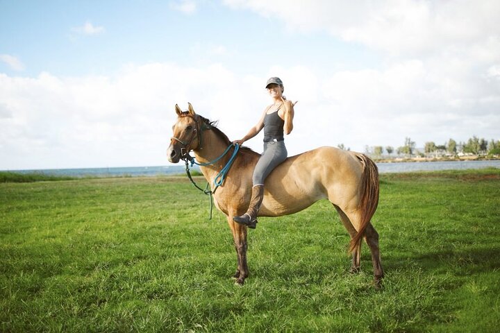 1-Mile Beachfront Trail Rides At North Shore Stables - thumb 0