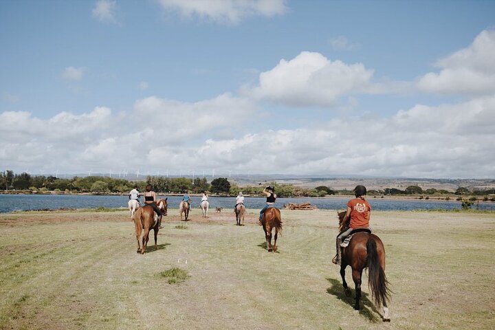 1-Mile Beachfront Trail Rides At North Shore Stables - thumb 1