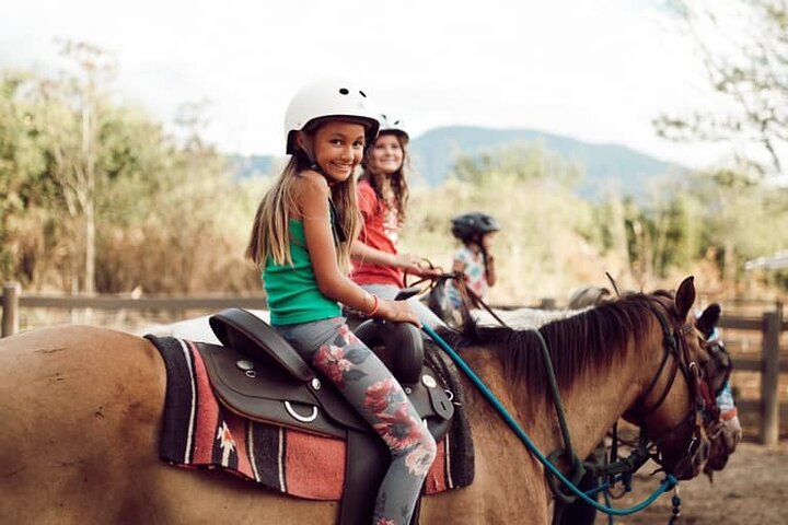 1-Mile Beachfront Trail Rides At North Shore Stables - thumb 4