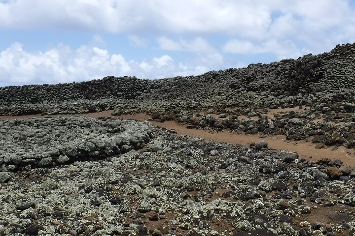 Discover Kamehameha's Birthplace & Plantation Village Tour (Kona, HI Day Tour) - thumb 4