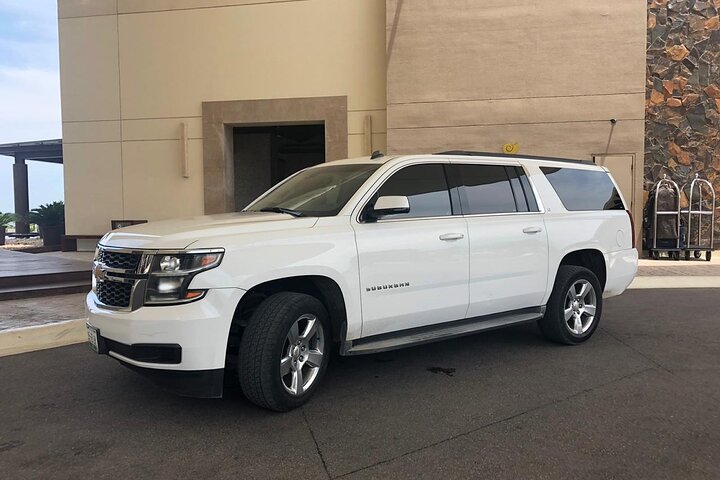 Detroit City To Detroit Airport (DTW) - Departure Private Transfer - thumb 1