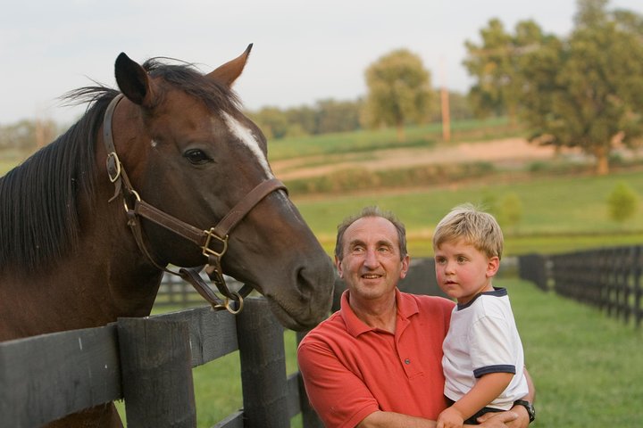 Half-Day Thoroughbred Horse Farm Tour In Kentucky - thumb 5