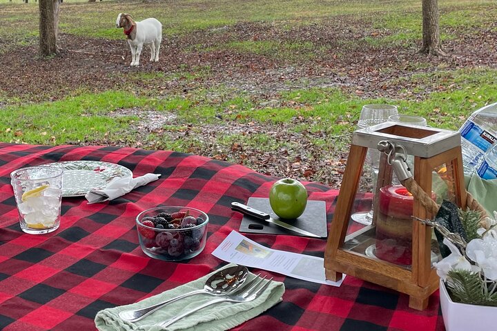 Private Picnic With Goats In Lexington - thumb 1