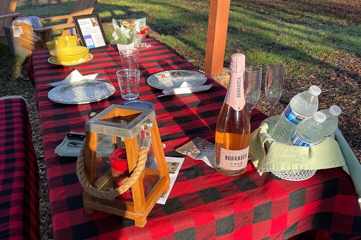Private Picnic With Goats In Lexington - thumb 5