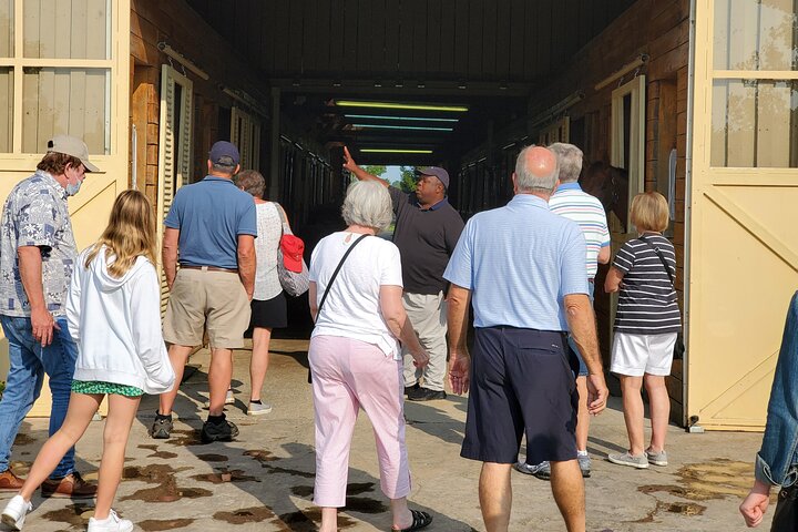 Unique Horse Farm Tours With Insider Access To Private Farms - thumb 0