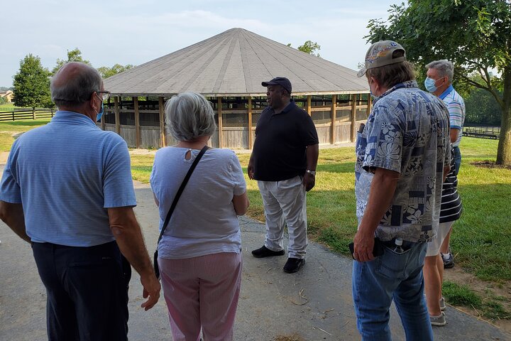 Unique Horse Farm Tours With Insider Access To Private Farms - thumb 3