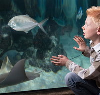 SEA LIFE Michigan Aquarium Admission Ticket - Accommodation Rooms