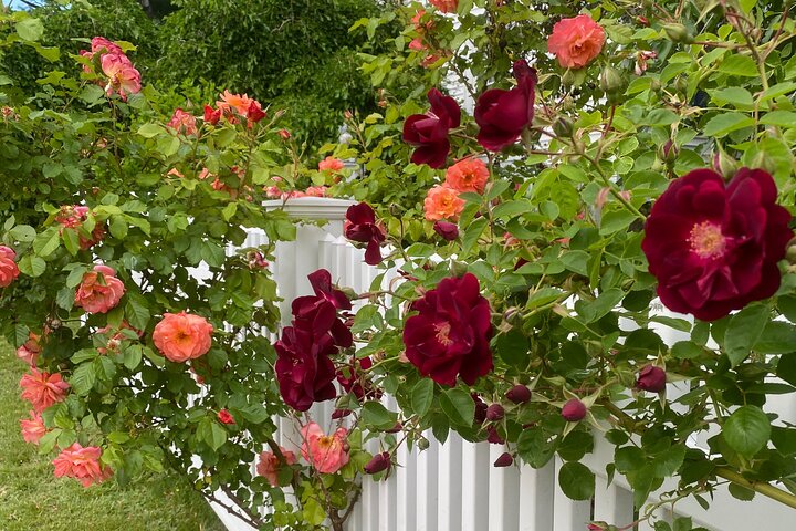 Gardens Of Portsmouth Walking Tour - thumb 2