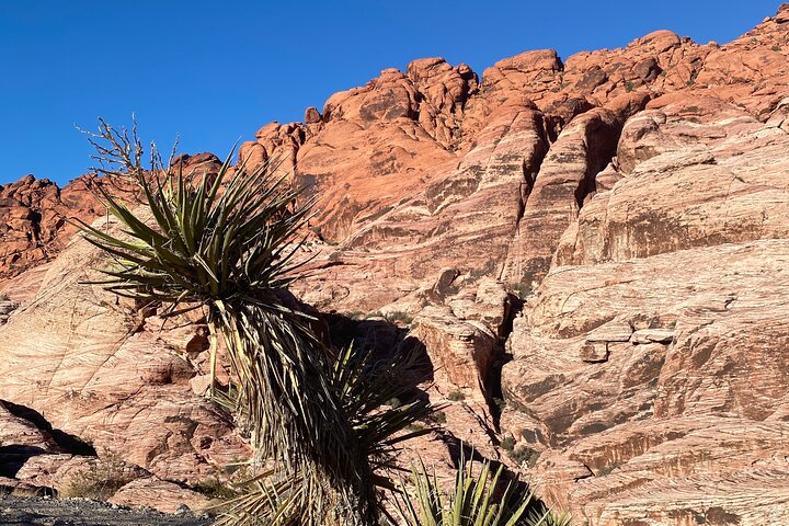 Red Rock Canyon Tour W/Private Option (2-6 People) - thumb 5