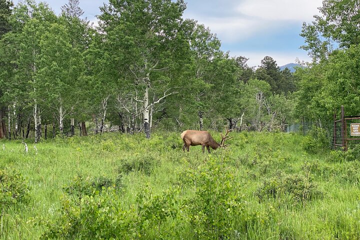 Pikes Peak And Garden Of The Gods Tour From Denver - thumb 4
